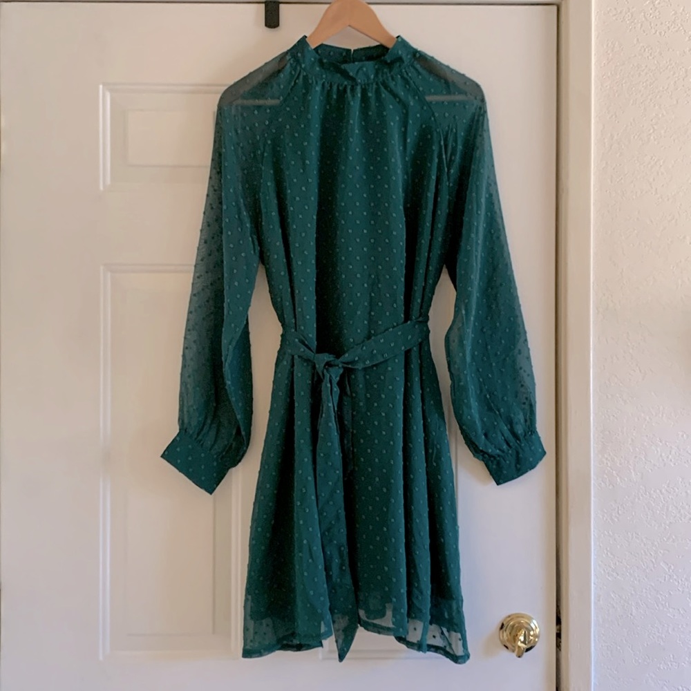 NWT Long-sleeved Green Dress